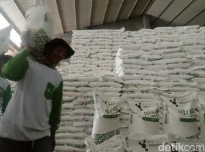 Kala Petani Garut Berburu Pupuk Murah Kala Petani Garut Berburu Pupuk Murah