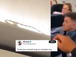 Ngeri dan Merinding! Viral Video Ular Merayap di Kabin Pesawat