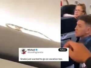 Ngeri dan Merinding! Viral Video Ular Merayap di Kabin Pesawat Ngeri dan Merinding! Viral Video Ular Merayap di Kabin Pesawat