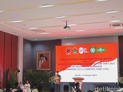 Basarah Ungkap Peran Megawati Bawa NU-Muhammadyah Raih Zayed Award 2024