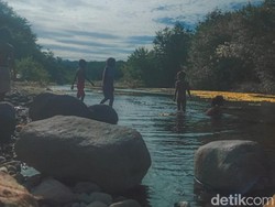 Healing Gratis di Bendungan Konga Flores Timur, Bisa Mandi Sambil Cari Ikan