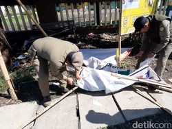 Golok dan Kapak Tajam Petugas Babat Habis APK di Pepohonan Tasik