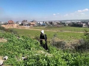 Pilu! Warga Gaza Terpaksa Makan Rumput hingga Pakan Ternak