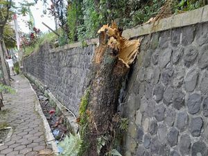 Pegawai Kesbangpol Wonosobo Tewas Tertimpa Pohon Saat Penertiban APK