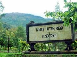 Tahura Raden Soerjo: Surga Tersembunyi di Jawa Timur