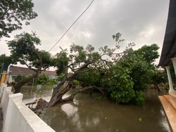 Angin Kencang Rusak 9 Rumah dan 2 Sekolah di Jombang