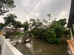 Angin Kencang Rusak 9 Rumah dan 2 Sekolah di Jombang Angin Kencang Rusak 9 Rumah dan 2 Sekolah di Jombang