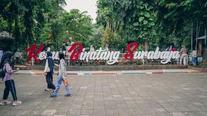Potret Kebun Binatang Surabaya, Mampu Bertahan dan Tetap Gaet Wisatawan