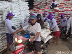 8.000 Petani Digelontor Diskon Pupuk Nonsubsidi saat Kejar Musim Tanam