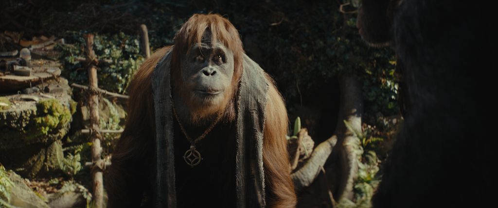 Raka (voiced by Peter Macon) in 20th Century Studios' KINGDOM OF THE PLANET OF THE APES. Photo courtesy of 20th Century Studios. © 2023 20th Century Studios. All Rights Reserved.