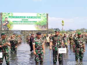 KSAD Pimpin Tanam 64 Ribu Mangrove di Aceh, Ini Tujuannya