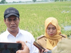 Sudah Sepakat dengan Sri Mulyani, Mentan Jamin Anggaran Pupuk Subsidi Cair