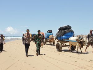Cerita Polisi Lampung Bantu Distribusi Logistik Pemilu dengan Gerobak Sapi