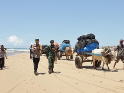 Cerita Polisi Lampung Bantu Distribusi Logistik Pemilu dengan Gerobak Sapi