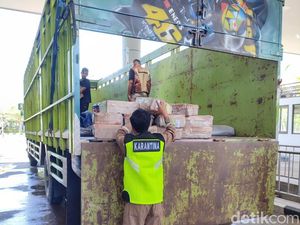 Balai Karantina Gagalkan Penyelundupan 160 Kg Sosis Ilegal dari Timor Leste Balai Karantina Gagalkan Penyelundupan 160 Kg Sosis Ilegal dari Timor Leste