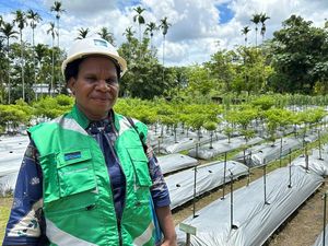 Kisah Warga Papua Merajut Masa Depan di Kawasan Tambang Freeport