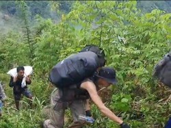 Cerita Polisi 2 Hari Mendaki Kawal Logistik Pemilu di Hutan Adat Parimo