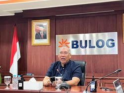 Bos Bulog Ungkap Biang Kerok Beras di Alfamart cs Kosong