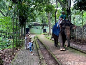 Farhan Minta Kementerian Tinjau Ulang Izin Konservasi Bandung Zoo Farhan Minta Kementerian Tinjau Ulang Izin Konservasi Bandung Zoo