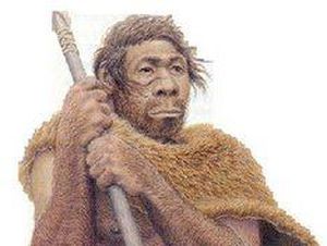 Ciri-ciri Homo Neanderthalensis: Penemuan, Kehidupan, dan Kepunahannya Ciri-ciri Homo Neanderthalensis: Penemuan, Kehidupan, dan Kepunahannya