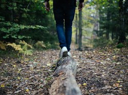 Tadabbur Alam Artinya Apa? Simak Contoh, Manfaat, dan Dalilnya