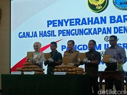 Kodam II Sriwijaya Sita 26,1 Kg Ganja di Mobil Rental, Penyewa Kabur