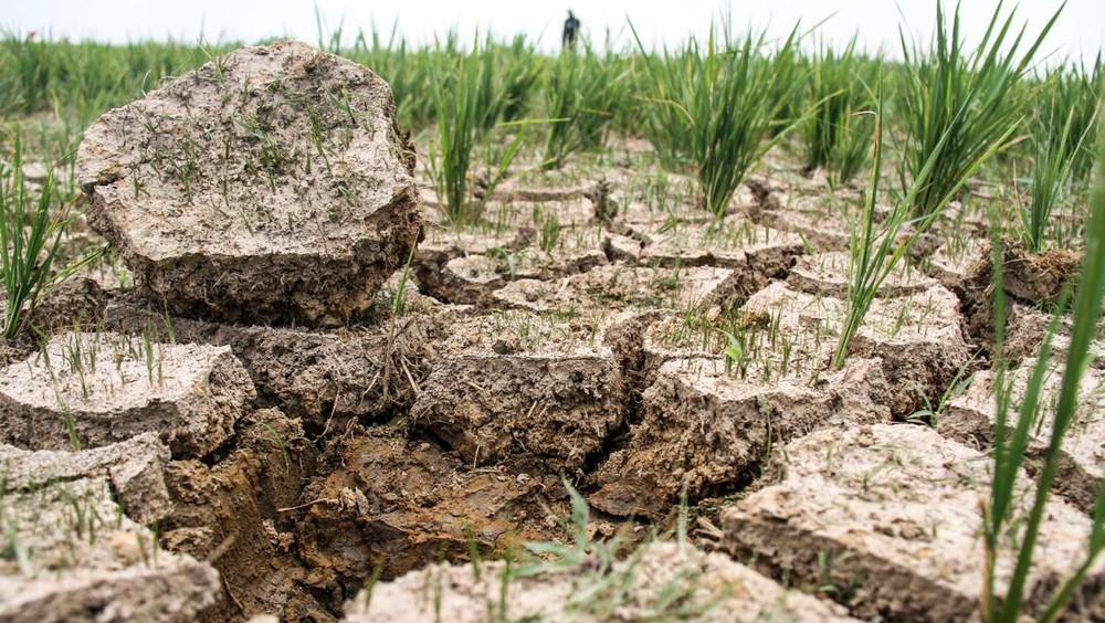 Fenomena Langka Hantam Korea Utara