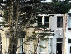 Rumah Rp 600 Jutaan Dapet Tiga Kamar Tidur...Eh Tapi Ada Noda Darah di Tembok