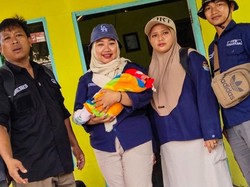 Sakit Perut, Petugas KPPS Pemilu di Bondowoso Melahirkan saat Bertugas