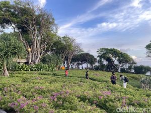 Peninsula Island, Destinasi Wisata Low Budget untuk Berburu Spot Foto Estetik