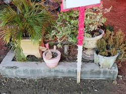 TPS di Bone Bolango Didirikan di Tengah Pekuburan, Ternyata Sudah Langganan