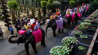9 Pasangan di Thailand Nikah Massal di Atas Gajah