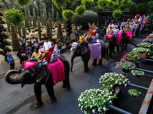 Bebas Visa China-Thailand, Naikkan Jumlah Penerbangan Ratusan Persen Bebas Visa China-Thailand, Naikkan Jumlah Penerbangan Ratusan Persen