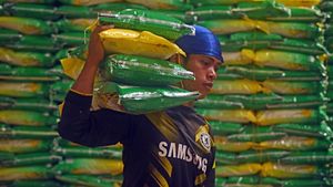 Penampakan Tumpukan Beras SPHP Rp 10.900/Kg buat Redam Kenaikan Harga