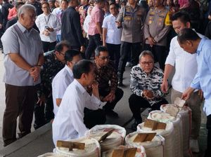 Respons Jokowi saat Ditanya Masih Tingginya Harga Beras