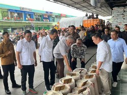 Bantah Gara-gara Bansos, Jokowi Bongkar Penyebab Beras Langka