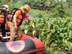 Plh Gubernur Jatim Temukan 5 Km Kali Buntung Sidoarjo Tertutup Eceng Gondok