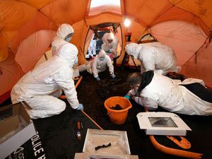 Sisa-sisa Manusia Rawa Berusia 2.500 Tahun Ditemukan di Irlandia Utara Sisa-sisa Manusia Rawa Berusia 2.500 Tahun Ditemukan di Irlandia Utara