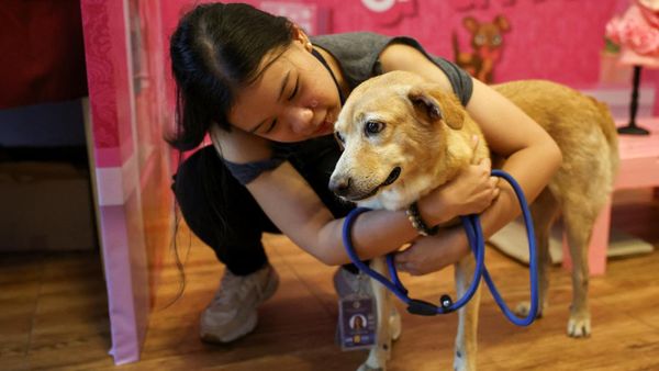 Uniknya Perayaan Valentine di Filipina, Kencan dengan Hewan