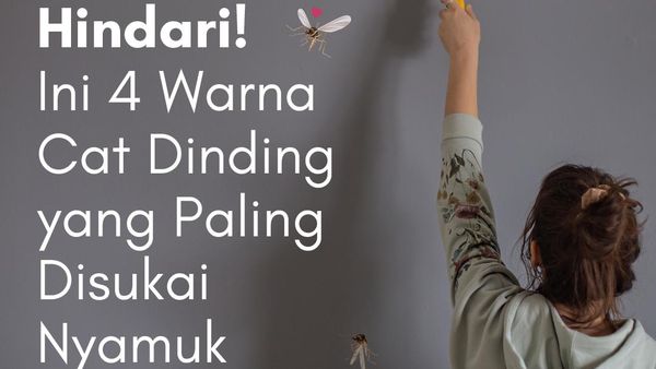 Jangan Dipakai di Rumah! 4 Warna Cat Ini Disukai Nyamuk