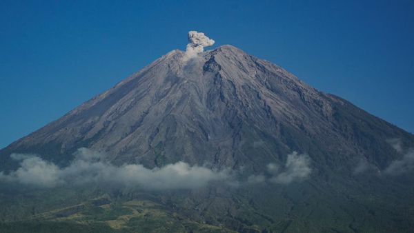 Gunung Semeru Alami 19 Kali Gempa Letusan