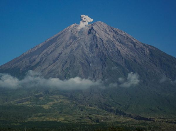 Gunung Semeru Alami 19 Kali Gempa Letusan