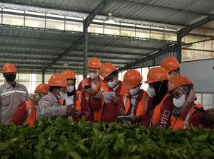 Dukungan untuk Generasi Muda Menjalankan Bisnis Berkelanjutan Dukungan untuk Generasi Muda Menjalankan Bisnis Berkelanjutan