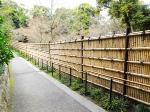 11 Ide Pagar Sederhana tapi Bikin Rumah Cantik dan Memukau