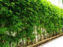 Tetangga Tak Beri Akses Jalan, Langkah Apa yang Bisa Saya Tempuh?