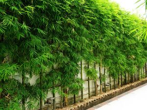 Tetangga Tak Beri Akses Jalan, Langkah Apa yang Bisa Saya Tempuh?