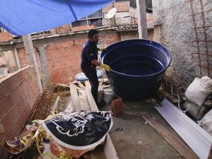 Kerja Keras Memerangi Epidemi DBD di Brasil