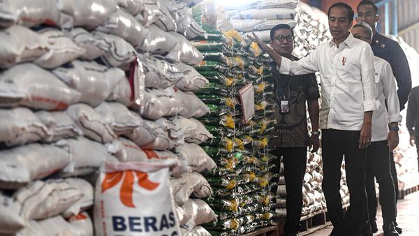 Momen Jokowi Cek Stok Beras di Gudang Bulog