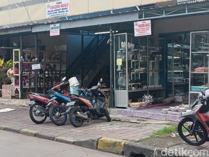 Bak Mati Suri, Sejak Kapan Pasar Ular Tanjung Priok Ditinggal Pembeli? Bak Mati Suri, Sejak Kapan Pasar Ular Tanjung Priok Ditinggal Pembeli?