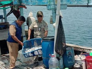 Langgar Izin Tangkap Ikan di Kepulauan Seribu, 6 Kapal Ditindak